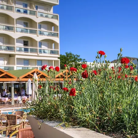 Apollo Hotel